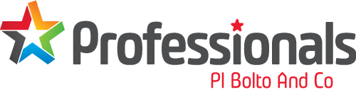 Professionals Logo